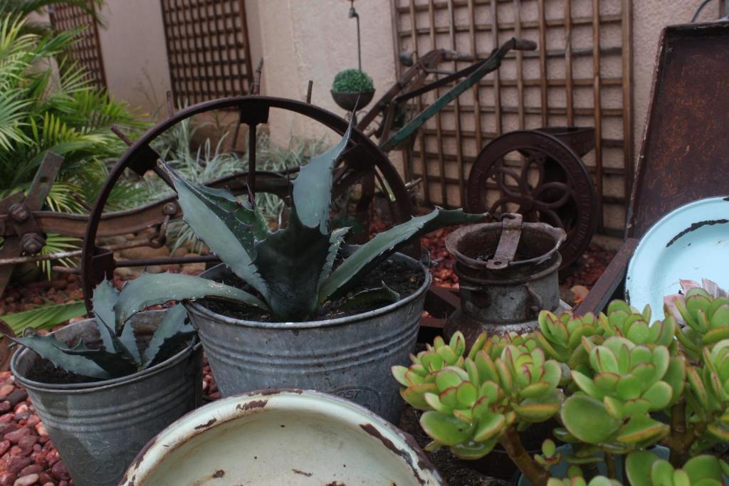 Aber Jetz Guesthouse Pongola Buitenkant foto